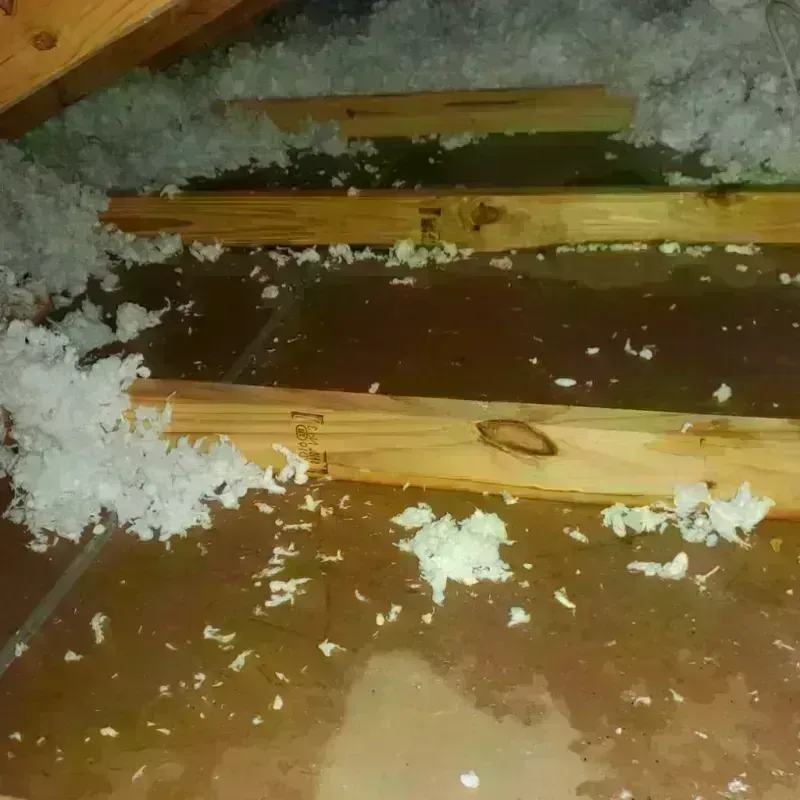 Attic Water Damage in Tuolumne City, CA